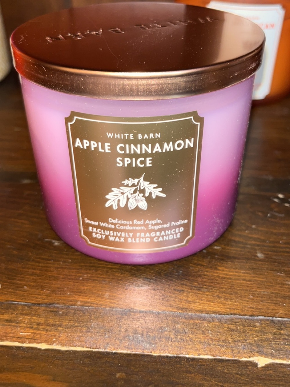 Bath & Body Works Apple Cinnamon Spice Candle